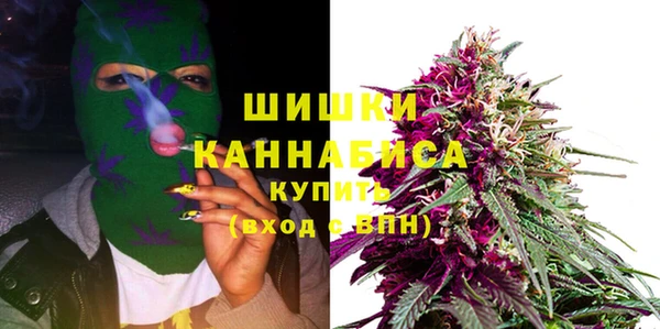 сатива Алзамай