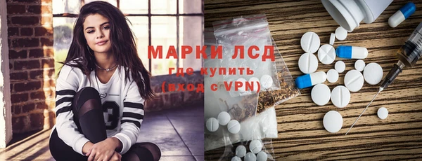 сатива Алзамай
