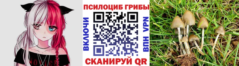 Псилоцибиновые грибы MAGIC MUSHROOMS  Сосновка 